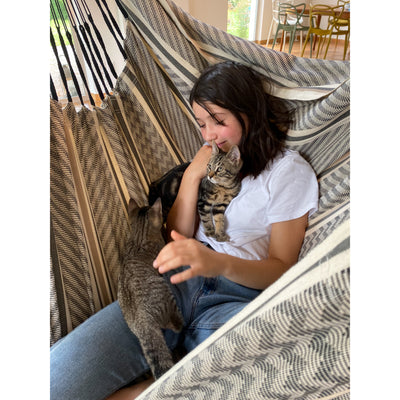 Girl and kitten playing in chair hammock