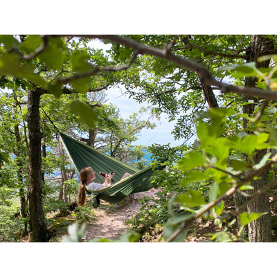 Hammock hung between trees in forest